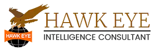 Hawk Eye Intelligence Consultant