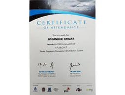 Hawkeye Detective Agency achievement certificate